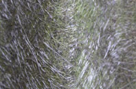 Bridgemont fibreglass roof work